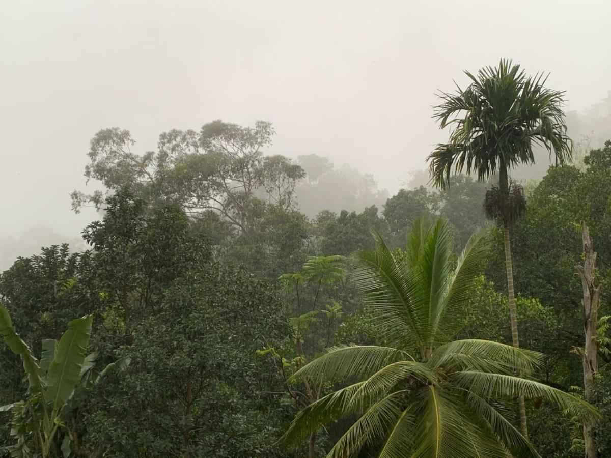 Jungle View Cottage Ella Esterno foto