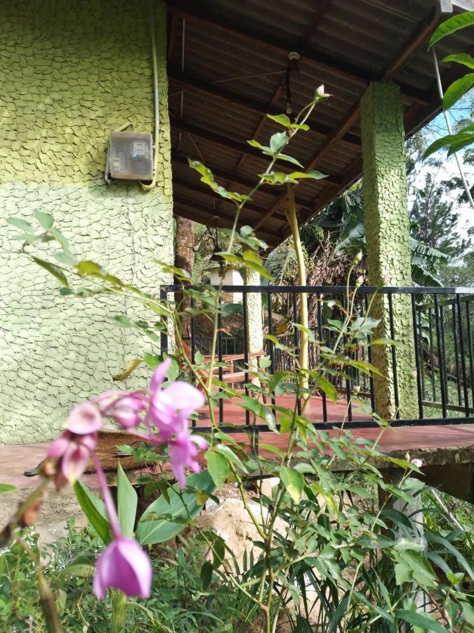Jungle View Cottage Ella Esterno foto