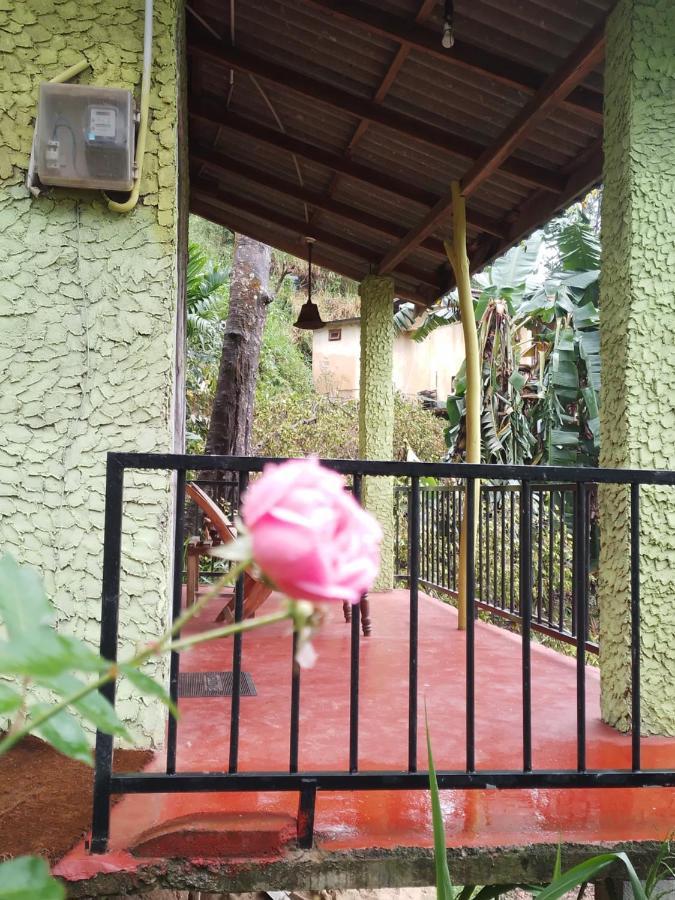 Jungle View Cottage Ella Esterno foto