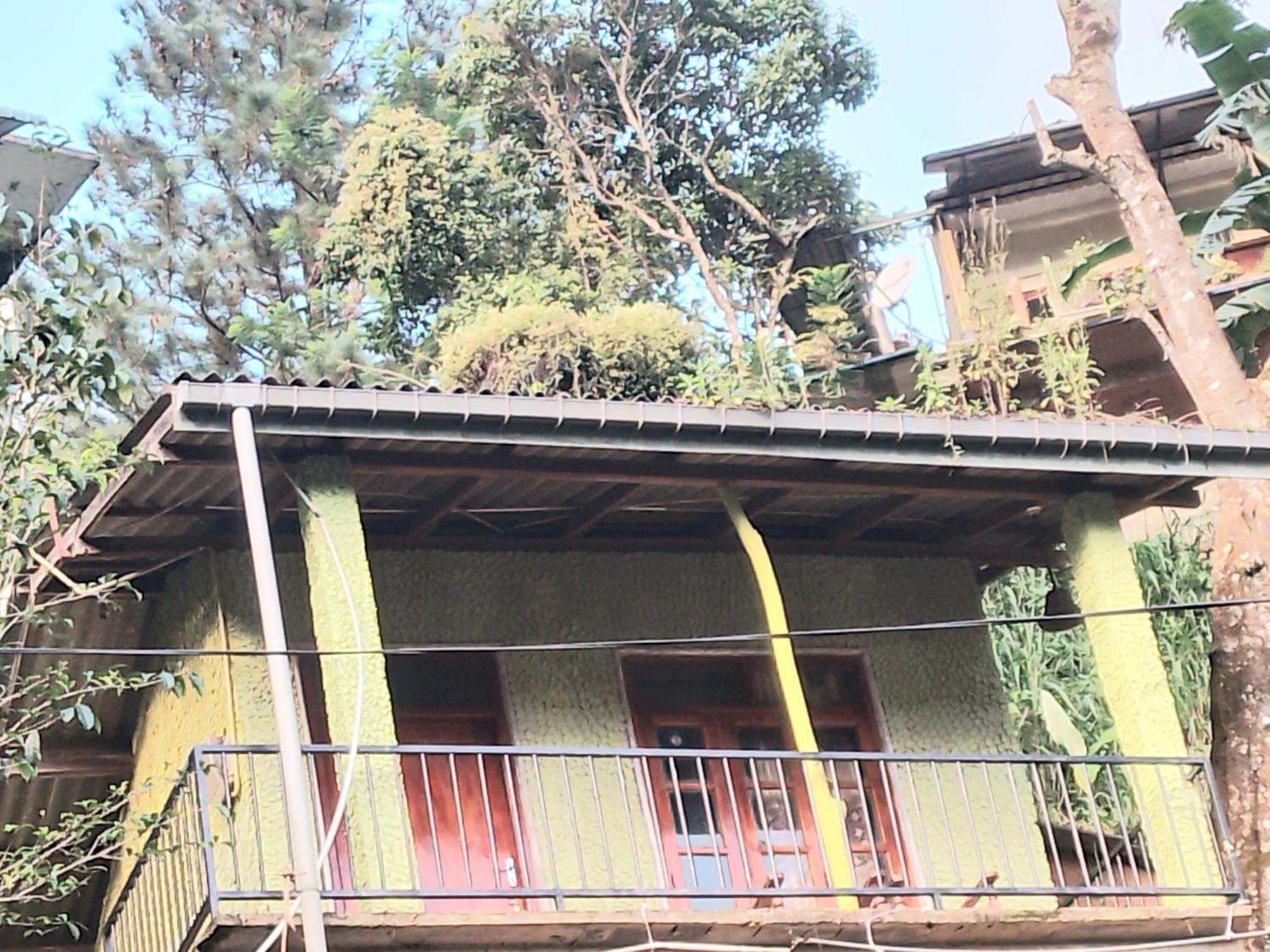 Jungle View Cottage Ella Esterno foto